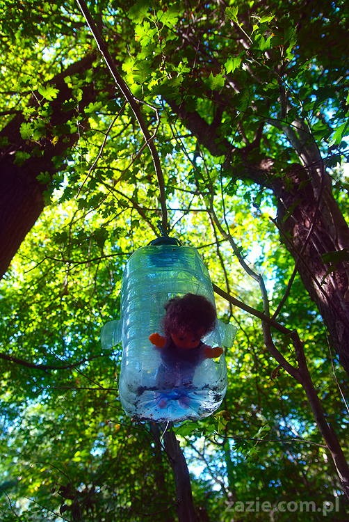 Grzybobranie 2011 Fundacja Form i Kształtów