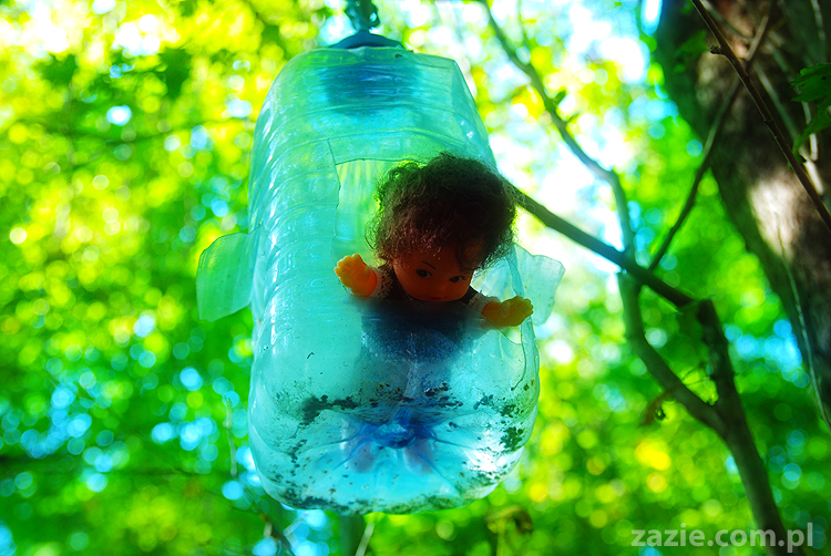 Grzybobranie 2011 Fundacja Form i Kształtów