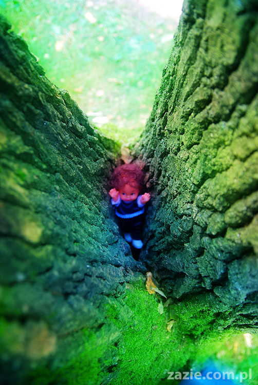 Grzybobranie 2011 Fundacja Form i Kształtów