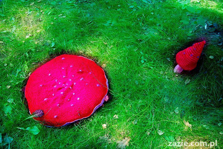 Grzybobranie 2011 Fundacja Form i Kształtów