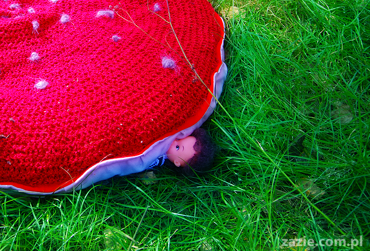 Grzybobranie 2011 Fundacja Form i Kształtów