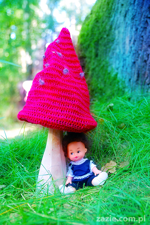 Grzybobranie 2011 Fundacja Form i Kształtów