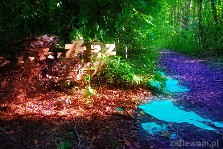 Grzybobranie 2011 Fundacja Form i Kształtów