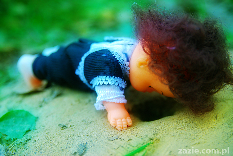 Grzybobranie 2011 Fundacja Form i Kształtów