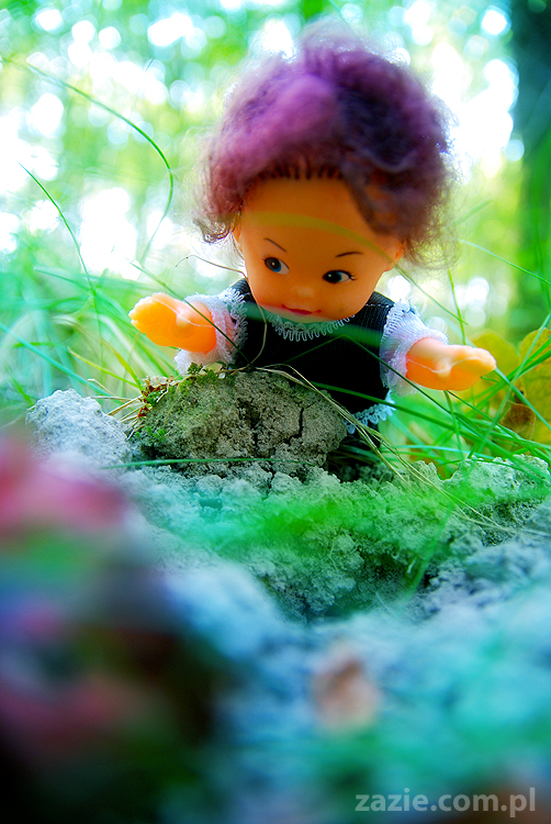 Grzybobranie 2011 Fundacja Form i Kształtów