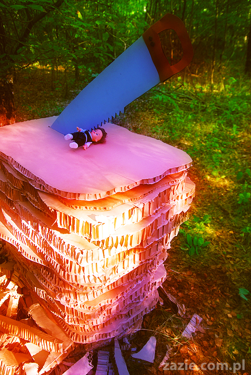 Grzybobranie 2011 Fundacja Form i Kształtów