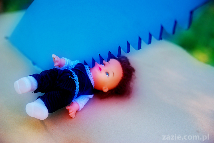 Grzybobranie 2011 Fundacja Form i Kształtów