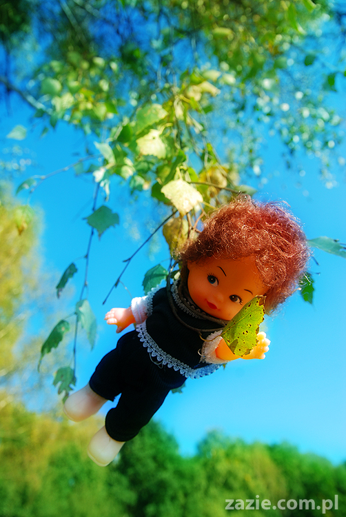 Grzybobranie 2011 Fundacja Form i Kształtów