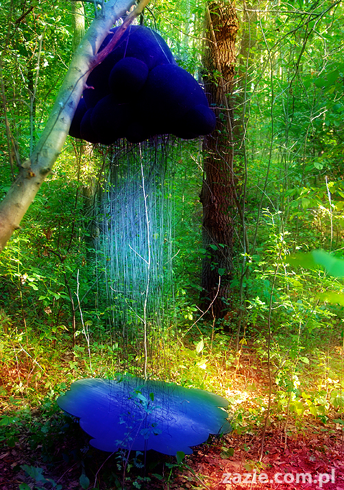 Grzybobranie 2011 Fundacja Form i Kształtów