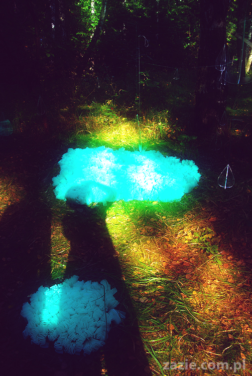 Grzybobranie 2011 Fundacja Form i Kształtów