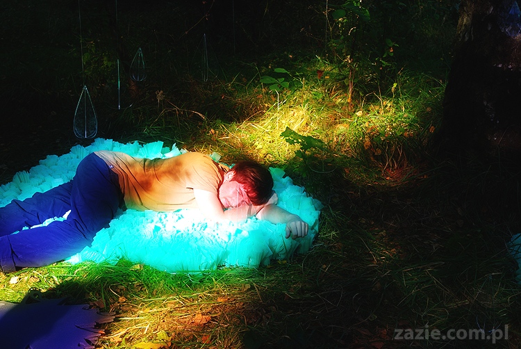 Grzybobranie 2011 Fundacja Form i Kształtów