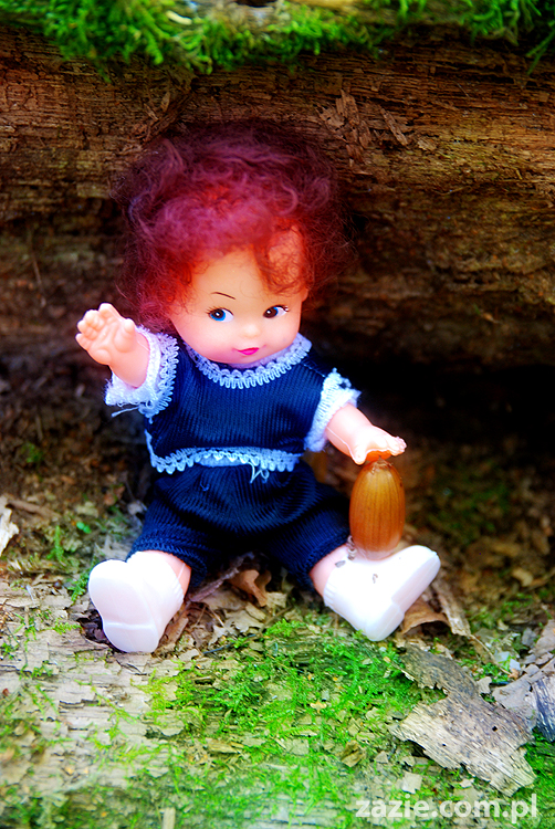 Grzybobranie 2011 Fundacja Form i Kształtów