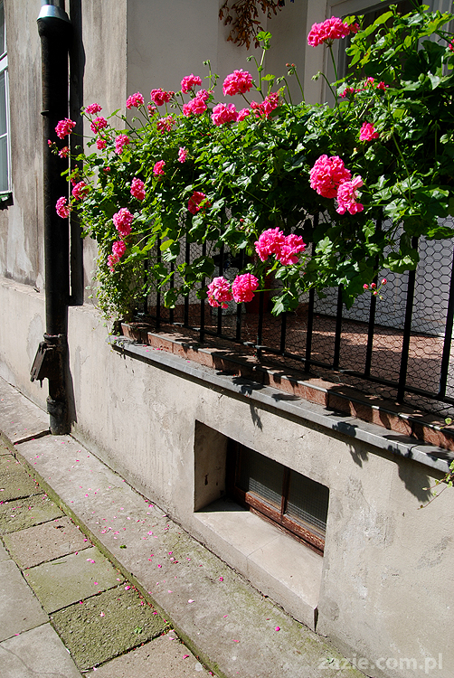 Warszawa Stara Ochota Kolonia Lubeckiego