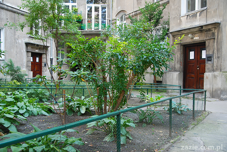 Warszawa Stara Ochota Kolonia Lubeckiego