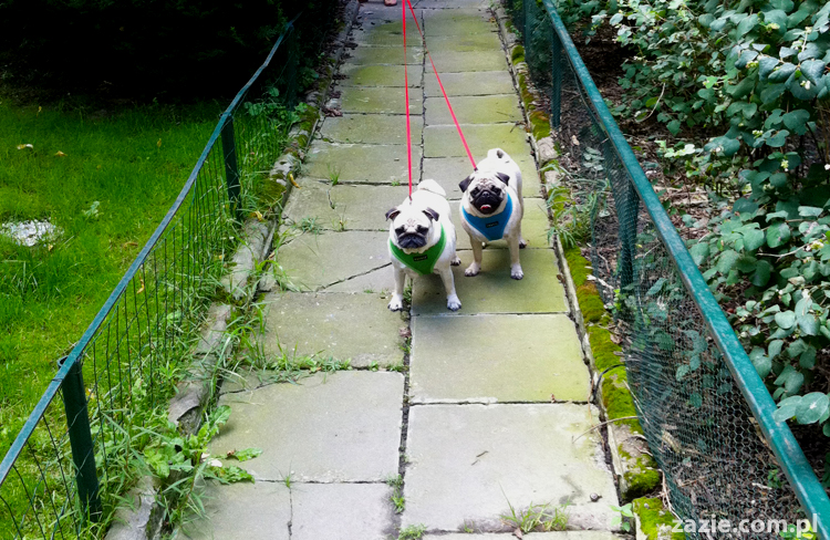 Warszawa Stara Ochota Kolonia Lubeckiego