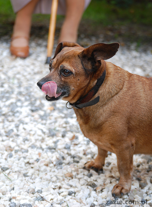 Warszawa Stara Ochota Kolonia Lubeckiego