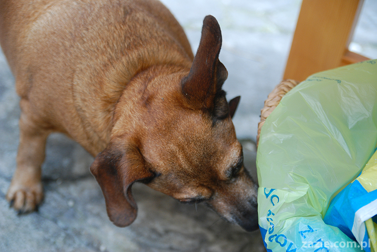 Warszawa Stara Ochota Kolonia Lubeckiego