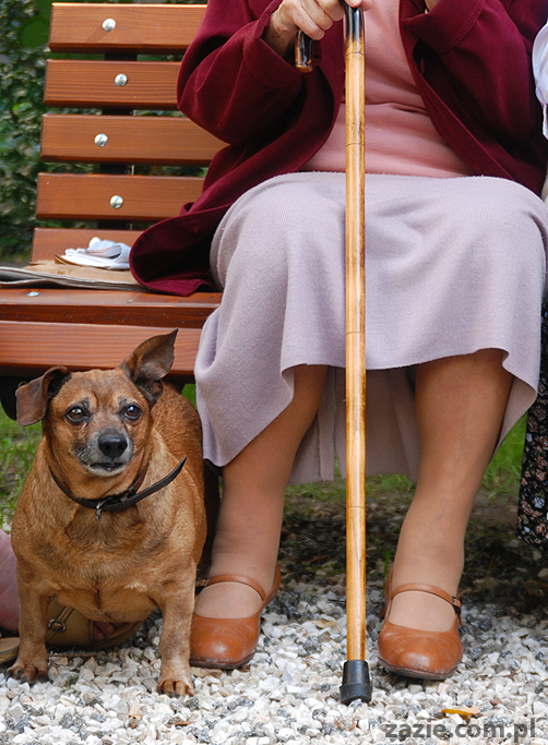 Warszawa Stara Ochota Kolonia Lubeckiego