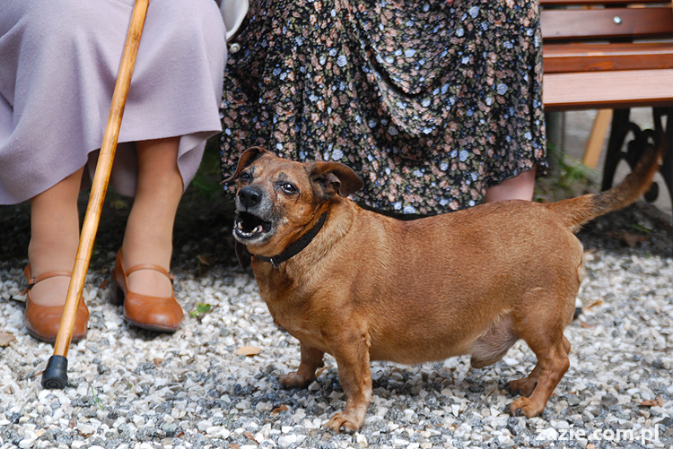 Warszawa Stara Ochota Kolonia Lubeckiego