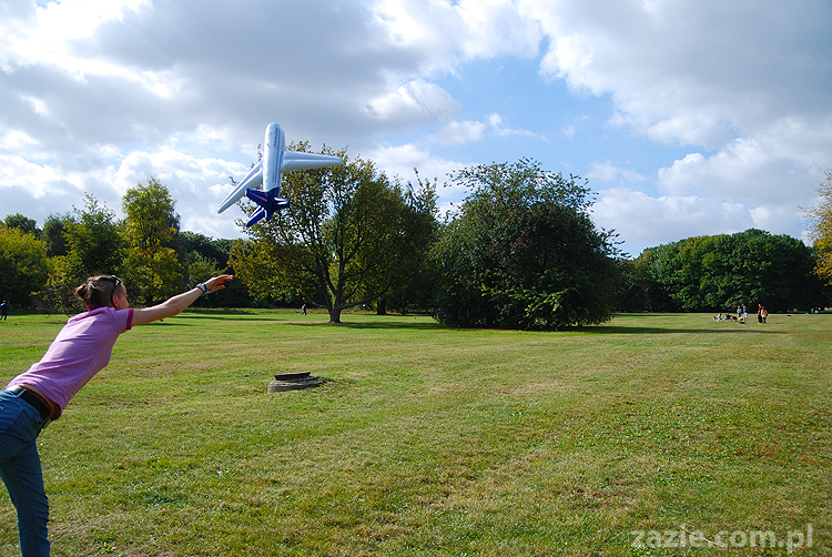 kumok i miszur mopsy pugs bułka buldożek francuski tosia
