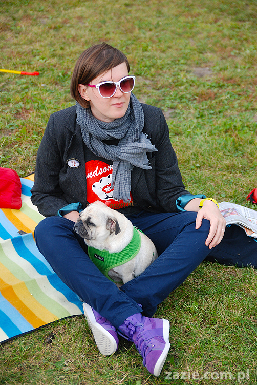 kumok i miszur mopsy pugs bułka buldożek francuski tosia