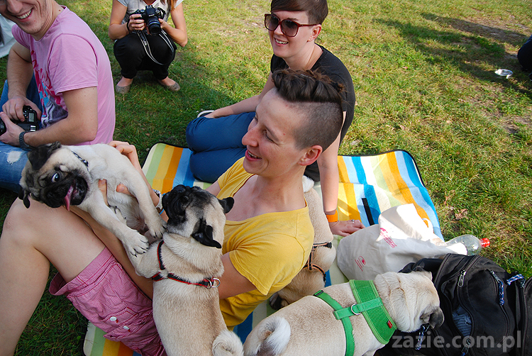 mops mopsy pugs Jesienne Warszawskie Spotkanie Mopsiarzy 2011 Forty Bema Miszur Kumok