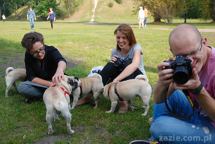 mops mopsy pugs Jesienne Warszawskie Spotkanie Mopsiarzy 2011 Forty Bema Miszur Kumok