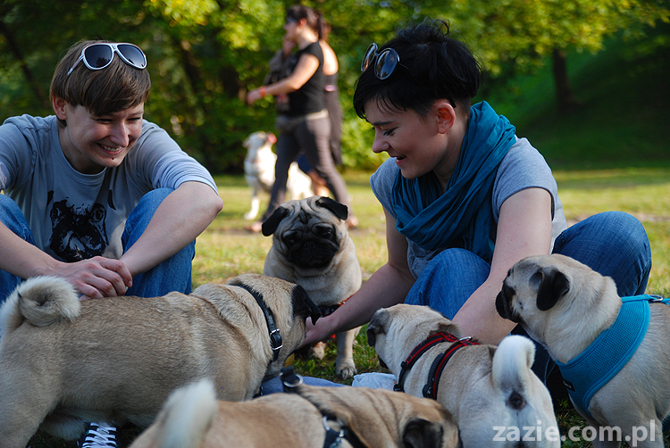 mops mopsy pugs Jesienne Warszawskie Spotkanie Mopsiarzy 2011 Forty Bema Miszur Kumok