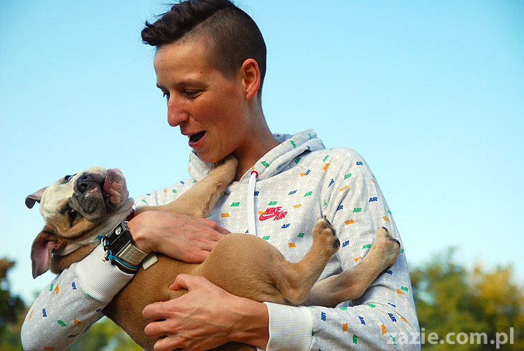 mops mopsy pugs Jesienne Warszawskie Spotkanie Mopsiarzy 2011 Forty Bema Miszur Kumok