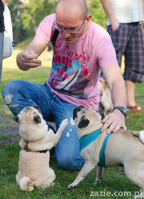 mops mopsy pugs Jesienne Warszawskie Spotkanie Mopsiarzy 2011 Forty Bema Miszur Kumok