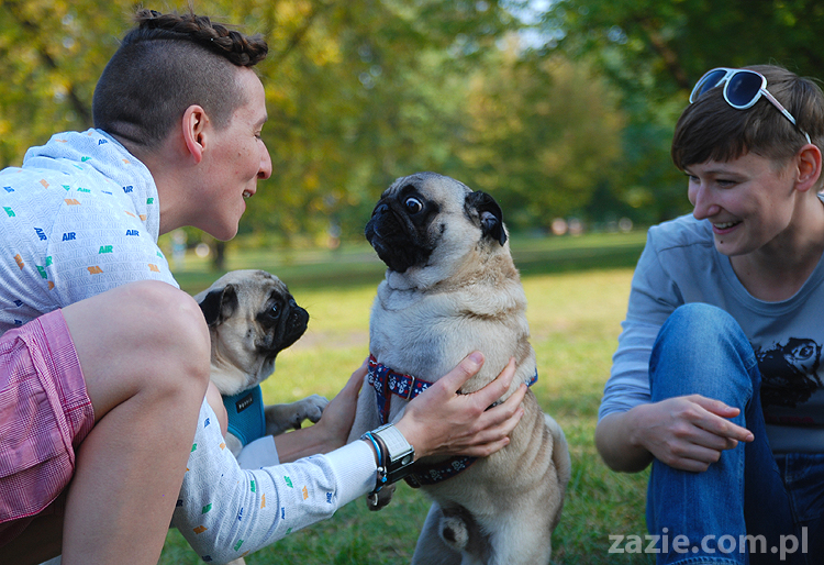 mops mopsy pugs Jesienne Warszawskie Spotkanie Mopsiarzy 2011 Forty Bema Miszur Kumok