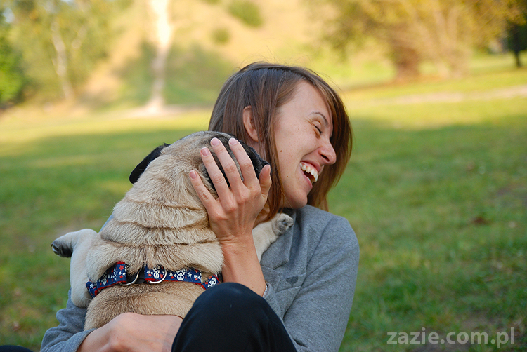 mops mopsy pugs Jesienne Warszawskie Spotkanie Mopsiarzy 2011 Forty Bema Miszur Kumok