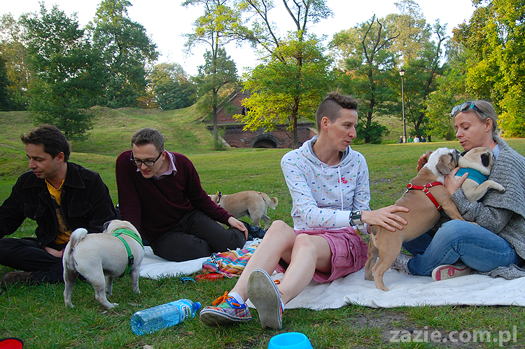mops mopsy pugs Jesienne Warszawskie Spotkanie Mopsiarzy 2011 Forty Bema Miszur Kumok