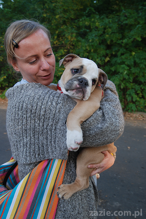 mops mopsy pugs Jesienne Warszawskie Spotkanie Mopsiarzy 2011 Forty Bema Miszur Kumok