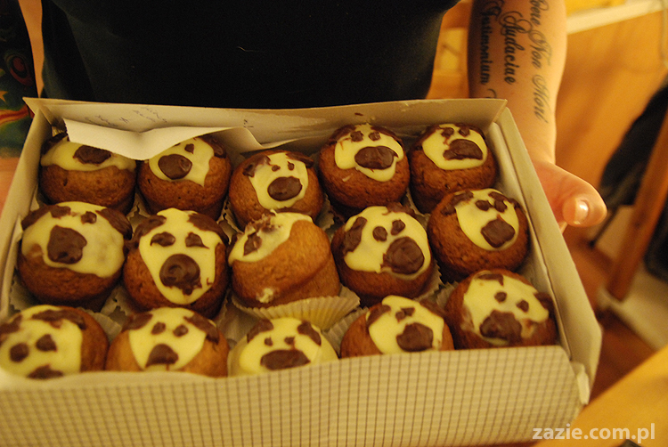 mops mopsy Kumok Miszur Bułka Pajda Kromka Czacha Czachowski Hektor 