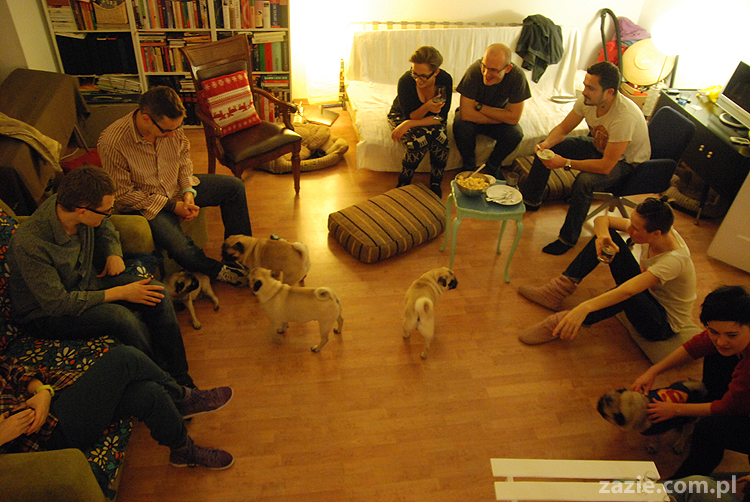 mops mopsy Kumok Miszur Bułka Pajda Kromka Czacha Czachowski Hektor 