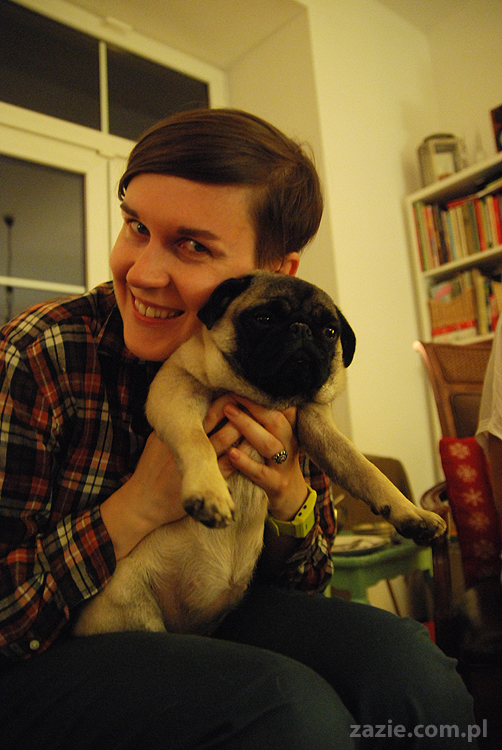 mops mopsy Kumok Miszur Bułka Pajda Kromka Czacha Czachowski Hektor 