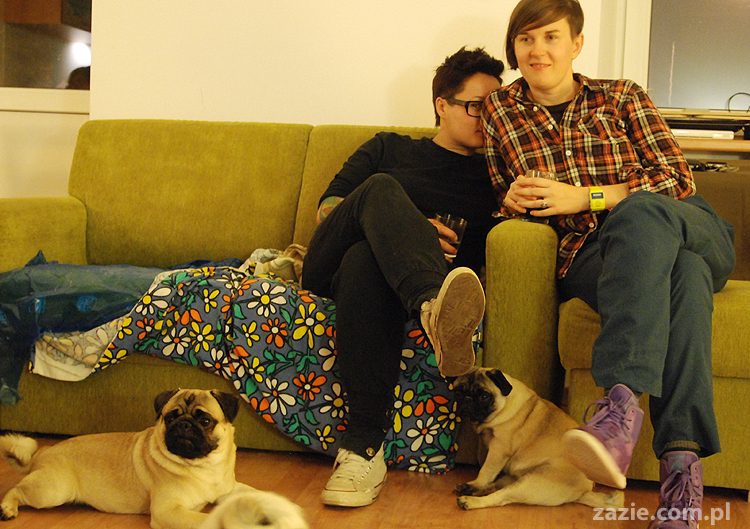 mops mopsy Kumok Miszur Bułka Pajda Kromka Czacha Czachowski Hektor 