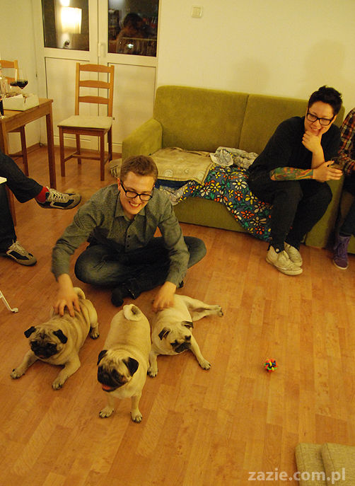 mops mopsy Kumok Miszur Bułka Pajda Kromka Czacha Czachowski Hektor 