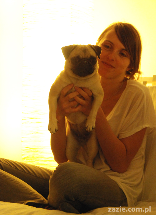 mops mopsy Kumok Miszur Bułka Pajda Kromka Czacha Czachowski Hektor 