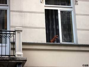 nigdy nie możesz być pewien