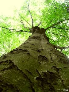 w drodze na szczyt(ek)