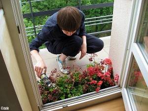 po prostu subskrypcja im wygasła.