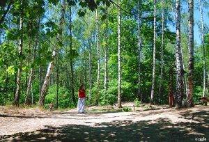 jest środa. jest pogoda.