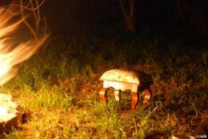 ogień i wino sierpniową nocą.