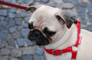 eksplorujemy nowe horyzonty