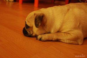 yesterday was ok, today is dramatic