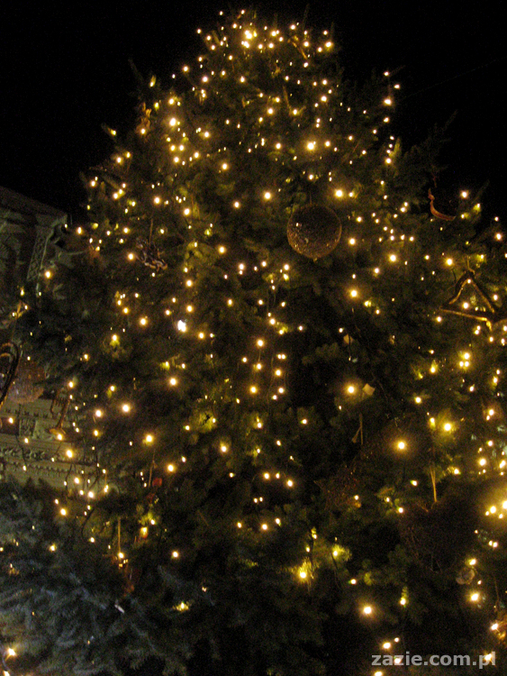 Kazimierz Dolny nad Wisłą