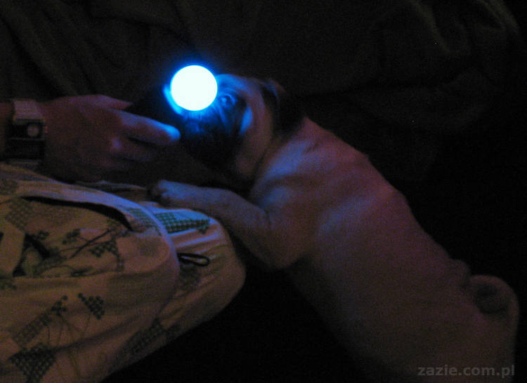 miecze świetlne Quentina