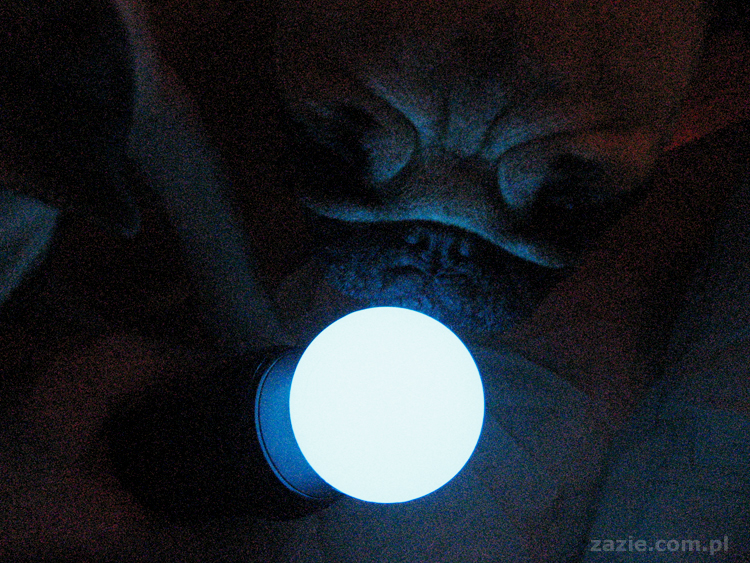 miecze świetlne Quentina